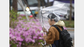 전국 강풍 피해… 일부 항공편 결항-열차 중단 