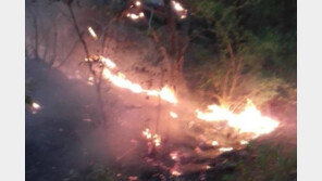 경남 양산 야산서 새벽 ‘산불’ 발생…1시간 21분만에 진화