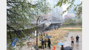 ‘정자교 C등급인데 붕괴됐는데’ 전국 교량 189개가 ‘D·E등급’