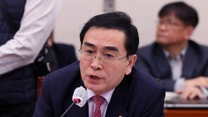 태영호 “원외 중진, 김기현 뜬끔 없이 근거 없이 흔들어”