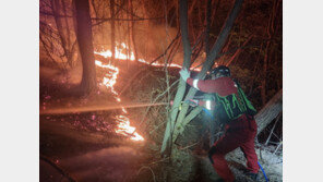 ‘봄철 대형산불’ 왜 이리 빈번?…‘화약고된 산림’에 ‘가뭄’ ‘강풍’ 삼중고