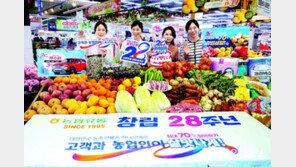 농협유통 창립 28주년… 최대 70% 할인행사