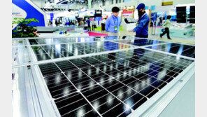 태양광 모듈 살펴보는 관람객