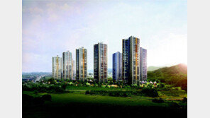 낮은 분양가의 ‘로또’ 아파트