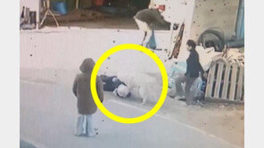 염소 죽인 개, 동네 할머니도 물어뜯었다…견주 “300만원에 합의”