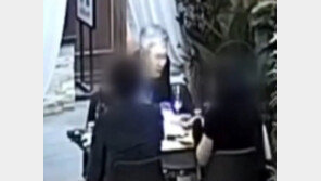 ‘박원순 前변호인’ 정철승, 女후배 성추행 의혹…CCTV 보니