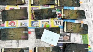 강릉 산불로 새까맣게 탄 900만원, 새 돈 바꿔 다행