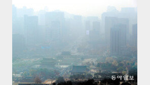 초미세먼지, ‘이 시기’ 노출되면 더 치명적이다