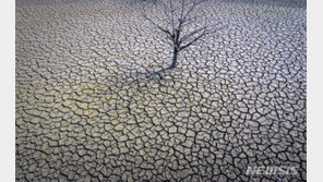스페인 가뭄 극심…350만㏊ 이상 농작물 “돌이킬 수 없는 손실”