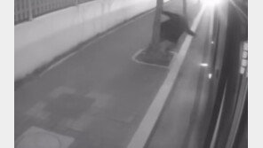 버스 하차한 승객, 넘어지면서 팔 깔려…버스기사 ‘억울’