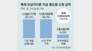 [단독]특례보금자리론 재원 늘려 연말까지 공급… 두달새 65% 소진