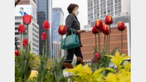 서울 오전 11시 ‘미세먼지 주의보’ 해제…“대기 확산 원활”