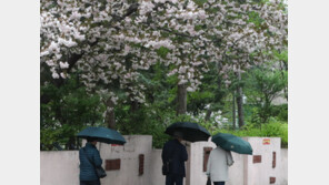 주말 흐리고 비…인천 등 일부 지역 미세먼지 ‘나쁨’