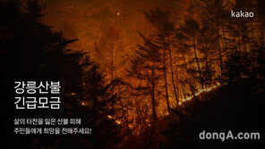 카카오, 강릉 산불 피해 복구 성금 10억원 기부