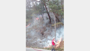 함양군 유림면 산불…31분만에 진화