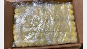 뷔페 단골 ‘경단떡’ 조심…자칫하단 세균 꿀떡꿀떡