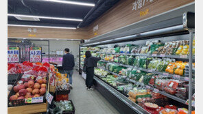 “안 오른 건 월급뿐”…치솟는 물가에 서민·자영업자 ‘죽을 맛’