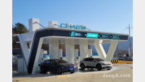 대영채비, 환경부 ‘무공해차 전환 브랜드 사업’ 수주 2년 연속 1위