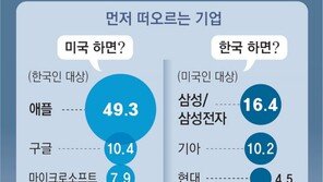 [단독]韓 49% “美기업 하면 애플”… 美 58% “떠오르는 韓기업 없어”