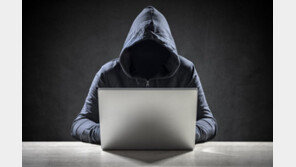 연예인도 가담했다…고수익 미끼 ‘리딩 투자사기’ 일당 실형