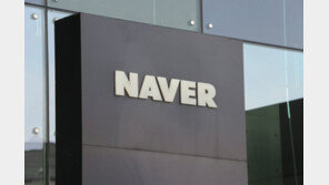 국민의힘, 네이버·카카오 ‘갑질’ 국민 피해 접수…18일엔 공청회