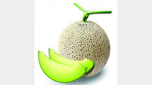 철저한 품질관리로 키운 멜론의 맛, 세계서 인정