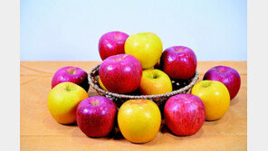 아삭하고 달콤하게 “모두 사과하세요”