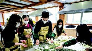 1200년 역사의 전통차, 전 세계에 알린다