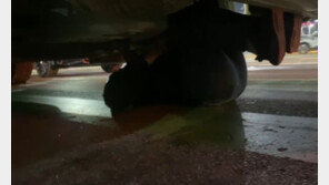 “우리 장비 안쓰면 알지?”…건설현장서 15억 갈취한 노조원들