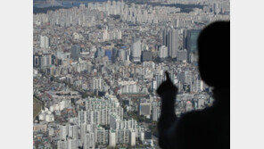 규제 해제 영향? 전국 아파트 실거래가지수 10개월만에 반등