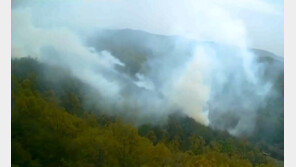 안동 일직면 산불…1시간 30분만에 진화 완료