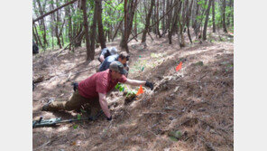 한미, 17일부터 2주간 6·25 참전 미군 유해 발굴 공동조사 개시