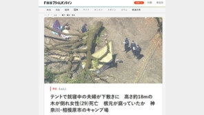 日 캠핑장서 18m 거목 쓰러져…텐트서 자고 있던 부부 참변