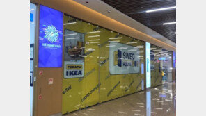 러시아에 ‘짝퉁 이케아’ 등장…고객 반응은?