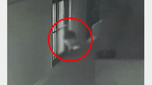 누군가 창문에서 지켜보고 있다…“소름 주의” (영상)