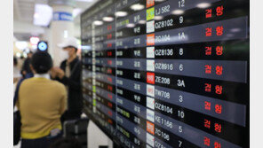 제주 전역에 태풍급 강풍…항공기 무더기 결항