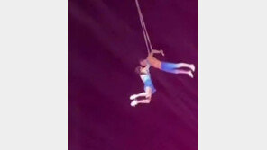 ‘아내 눈앞에서 놓쳤다’…中 곡예사, 남편과 합동 공연 중 추락사