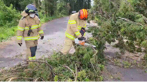 창문 깨지고 나무 쓰러지고…태풍급 강풍에 제주 곳곳 피해 속출