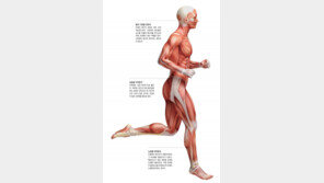 기운 떨어지고 심장에 문제 생기면 코큐텐 결핍 의심해야