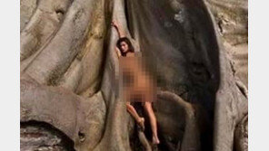 발리 ‘신성한 나무’서 나체 촬영한 러시아女, 주민들 공분에 결국…