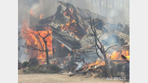 건보공단, 산불 피해 주민 분실 틀니·보청기 등 추가 지원