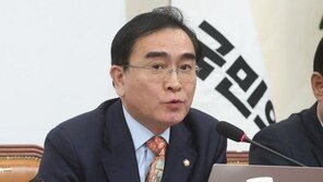 태영호 “김구 선생, 김일성 통일전선 전략에 당한 것”