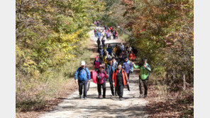 “강원 ‘DMZ 평화의 길’로 걷기 여행 오세요”… 21일 재개방