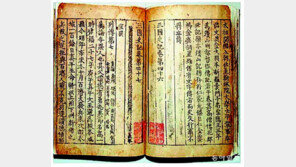 “2000년전 고대국가 등장때 한반도 숲 감소”