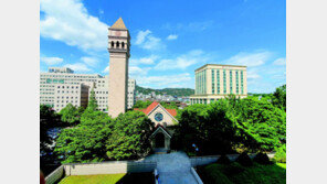 세계대학 랭킹 3년 연속 ‘국내 3위’… 한국 MBA 최초 ‘프랜차이즈’ 과정