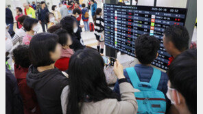 제주에 ‘태풍급 강풍’… 항공기 175편 결항