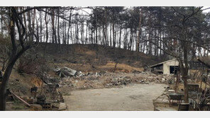 본인 집 불타고 있는데…끝까지 맡은 구역서 불 끈 산불진화대원