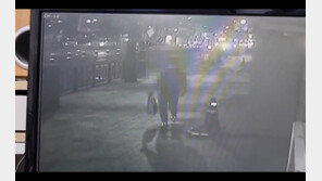 전국 돌며 식당·카페·미용실 현금 슬쩍…40대 구속송치