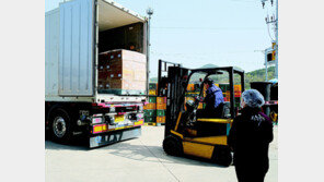 영동 곶감, 미국 수출 성공… 건강한 식품으로 이름 알린다 