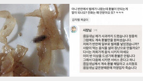 반찬에서 벌레 나왔는데…“절반 먹었으니 환불 안 돼”